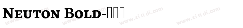 Neuton Bold字体转换